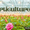 Horticulture 101