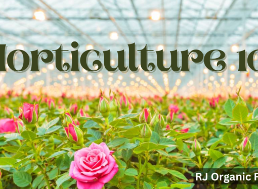 Horticulture 101