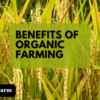 Benefits Of Organic Farming to the Environment