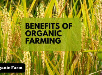Benefits Of Organic Farming to the Environment