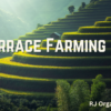 Terrace Farming 101