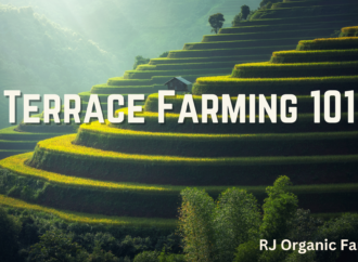 Terrace Farming 101