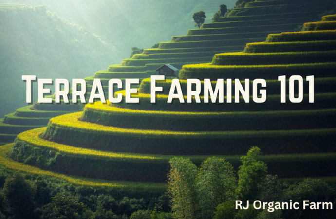 Terrace Farming 101