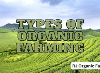 Types of Organic Farming