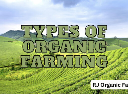 Types of Organic Farming
